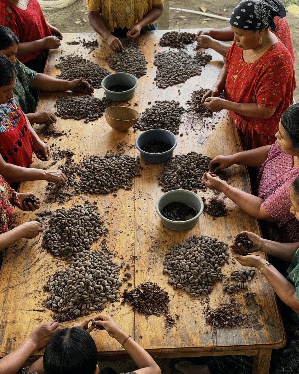 Seen from above: women and children sorting dried cacao beans into bowls at a long wooden table